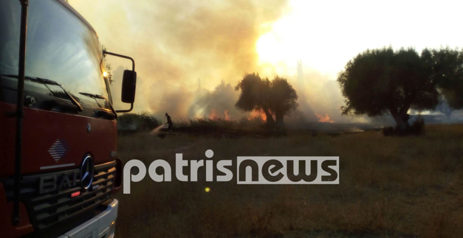 Πυρκαγιά σε χορτολιβαδική έκταση στην περιοχή “Μαύρη Λάκα” της Αμαλιάδας
