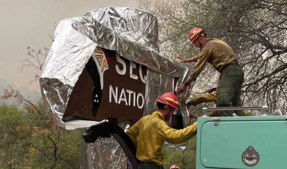 Πυρκαγιές στην Καλιφόρνια: Πολύ κοντά στο μεγαλύτερο δέντρο της Γης
