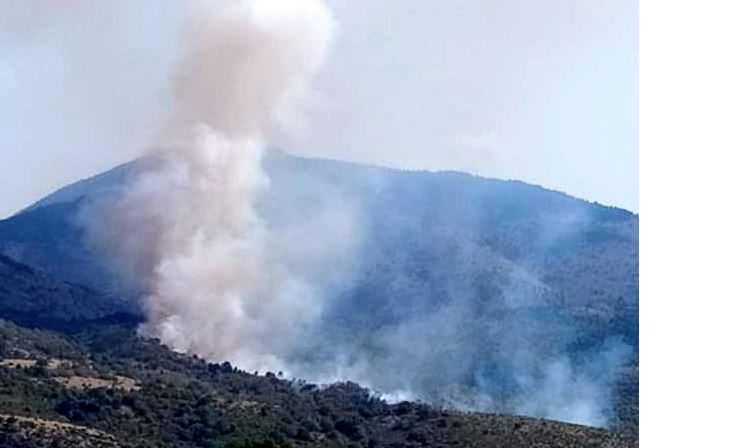 Πυρκαγιά ΤΩΡΑ σε χορτολιβαδική έκταση στο Μεσόβουνο Κοζάνης