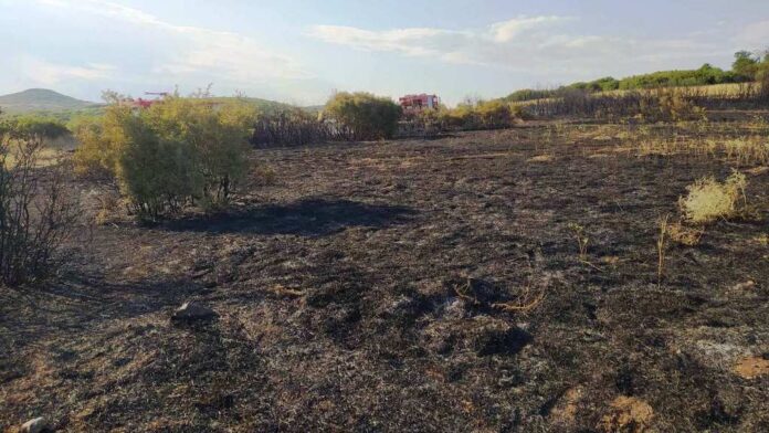 Πυρκαγιά σε καλαμιές και ξερά χόρτα στη Νέα Αγχίαλο