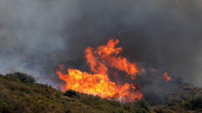 Πυρκαγιά στο Κιλκίς: Μαίνεται για δεύτερη μέρα σε πευκοδάσος στο Πάικο