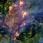 Πυρκαγιές στην Καλιφόρνια: Πολύ κοντά στο μεγαλύτερο δέντρο της Γης