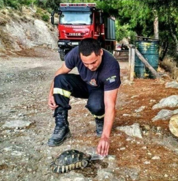 Μερικές εικόνες που αποδεικνύουν ότι οι πυροσβέστες μας ξέρουν από καλό…. τάβλι!