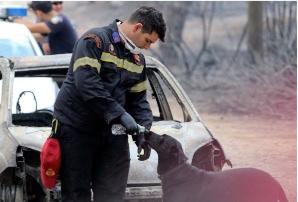 Μερικές εικόνες που αποδεικνύουν ότι οι πυροσβέστες μας ξέρουν από καλό…. τάβλι!