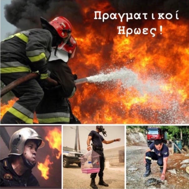 Μερικές εικόνες που αποδεικνύουν ότι οι πυροσβέστες μας ξέρουν από καλό…. τάβλι!