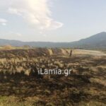 Λαμια-Πυρκαγιά σε χαμηλή βλάστηση στην ανθήλη(φωτό)
