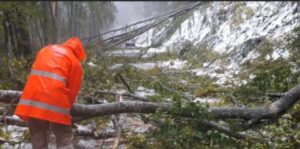 Μπάλλος: Έπεσαν δέντρα στο Βίτσι – Οδηγός απεγκλωβίστηκε από την Πυροσβεστική (εικόνες)