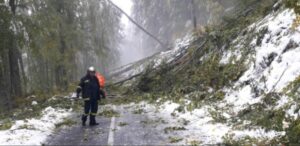 Μπάλλος: Έπεσαν δέντρα στο Βίτσι – Οδηγός απεγκλωβίστηκε από την Πυροσβεστική (εικόνες)