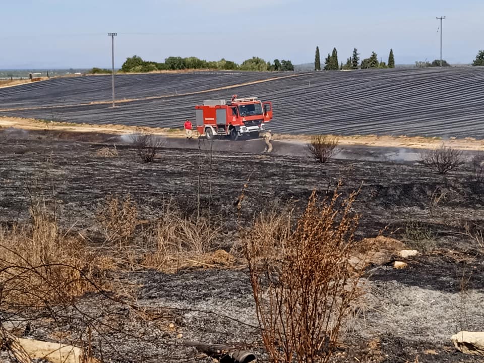 Πυρκαγιά σε χορτολιβαδική έκταση στο Καπελέτο Ηλείας