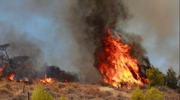 Πυρκαγιά σε χορτολιβαδική έκταση στον Κατελειό Κεφαλονιάς