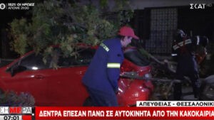 Κακοκαιρία «Αθηνά» – Πάνω από 120 κλήσεις στην πυροσβεστική για αντλήσεις υδάτων και κοπές δένδρων