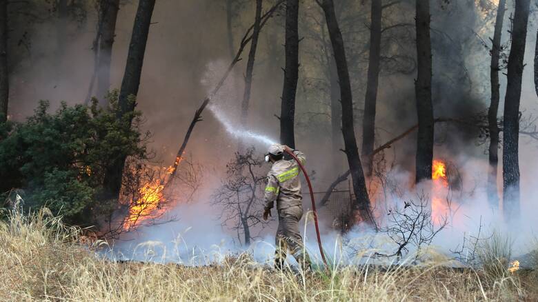 Ολοκληρωμένο σύστημα επιτήρησης και έγκαιρης προειδοποίησης κινδύνου από δασικές πυρκαγιές
