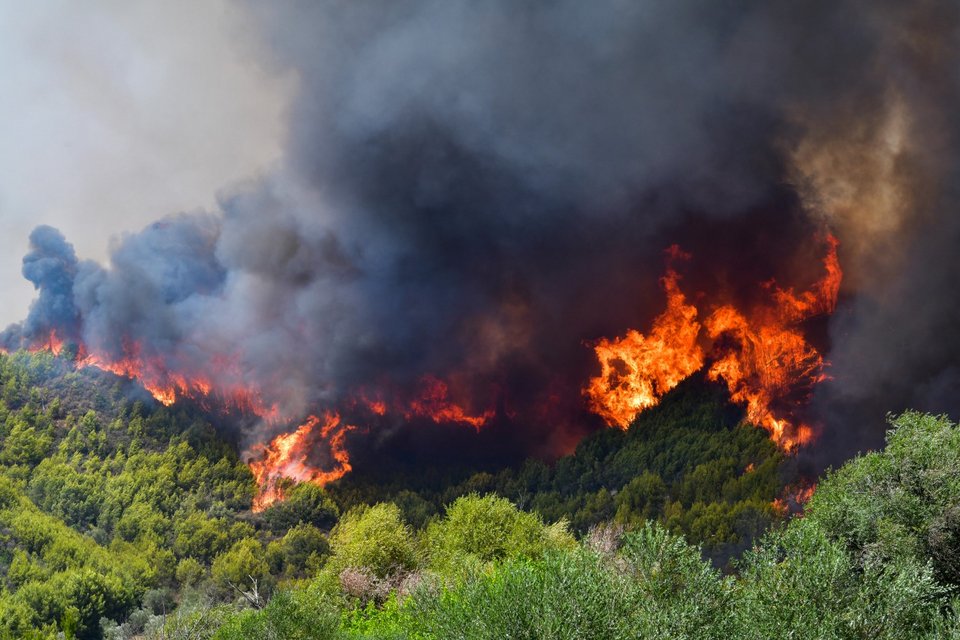 Κινητοποίηση της Πυροσβεαστικής για δασική πυρκαγιά στην Ηλεία