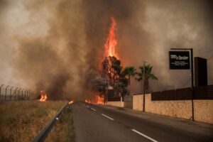 Εισαγγελέα Β. Πλιώτα για Έρευνα των πυρκαγιών για σκόπιμη οργανωμένη εγκληματική δραστηριότητα.