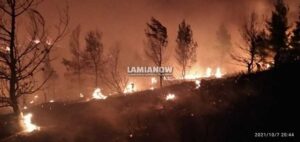 Πυρκαγιά σε εξέλιξη στο Μαρτίνο – Καίει στην περιοχή «Μοναχού»