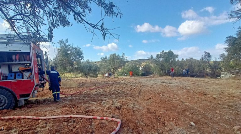 Νέο περιστατικό με πυρκαγιά στο Δήμο Σπάτων Αρτέμιδος (φωτό)