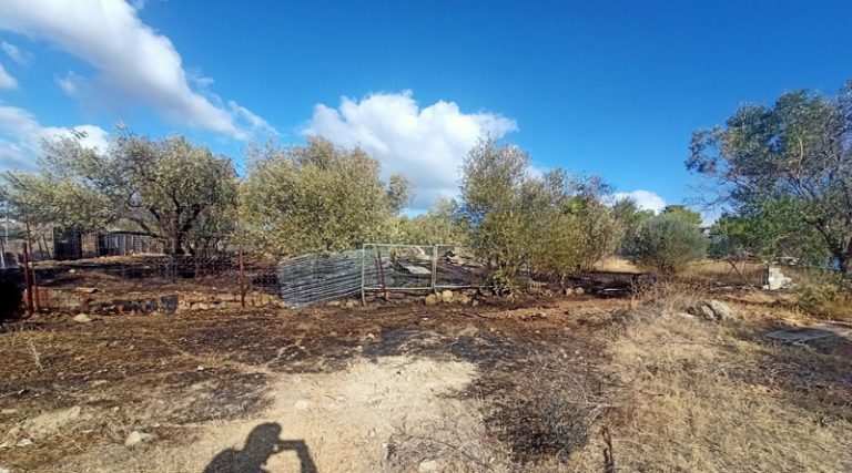 Νέο περιστατικό με πυρκαγιά στο Δήμο Σπάτων Αρτέμιδος (φωτό)