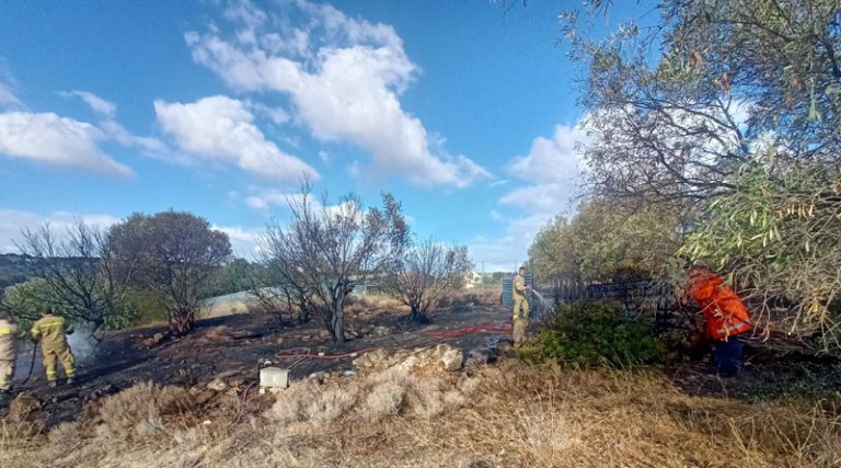Νέο περιστατικό με πυρκαγιά στο Δήμο Σπάτων Αρτέμιδος (φωτό)