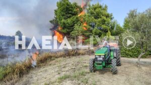 Βίντεο και φωτογραφίες από την δασική πυρκαγιά στα Αστερέικα Ηλείας