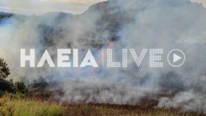 Βίντεο και φωτογραφίες από την δασική πυρκαγιά στα Αστερέικα Ηλείας