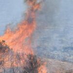 Πυροσβεστική: 6 δασικές πυρκαγιές το τελευταίο 24ωρο