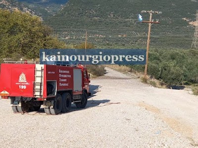 Πυρκαγιά σε κολόνα της ΔΕΗ στην Παντάνασσα Τριχωνίδος