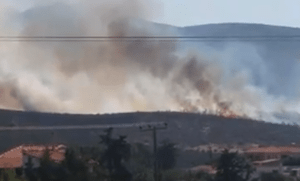 Έρευνα της Πυροσβεστικής για πυρκαγιές στον Μαραθώνα: Σε 20 ημέρες ξέσπασαν 15 φωτιές