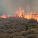 Πυρκαγιά σε αγροτοδασική εκταση στους Γοράνους Λακωνίας