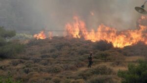 Πυρκαγιά σε αγροτοδασική εκταση στους Γοράνους Λακωνίας