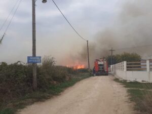 Περίπου 100 στρέμματα κάηκαν στην πυρκαγιά της Ν. Ποτίδαιας