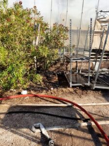 Φωτογραφικό υλικό από την πυρκαγιά σε φυτώριο στην Βάρη Αττικής