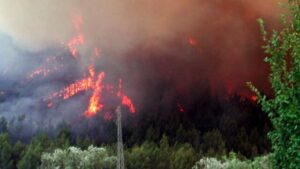 Δασική πυρκαγιά ΤΩΡΑ στην Ηλεία