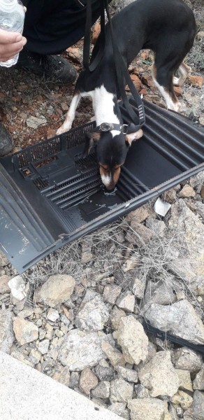 Σκύλος έπεσε σε πηγάδι 20 μέτρων στην Κοζάνη και διασώθηκε από την ΕΜΑΚ
