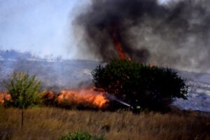 Πυρκαγιά σε εξέλιξη σε χορτολιβαδική έκταση στην Τανάγρα