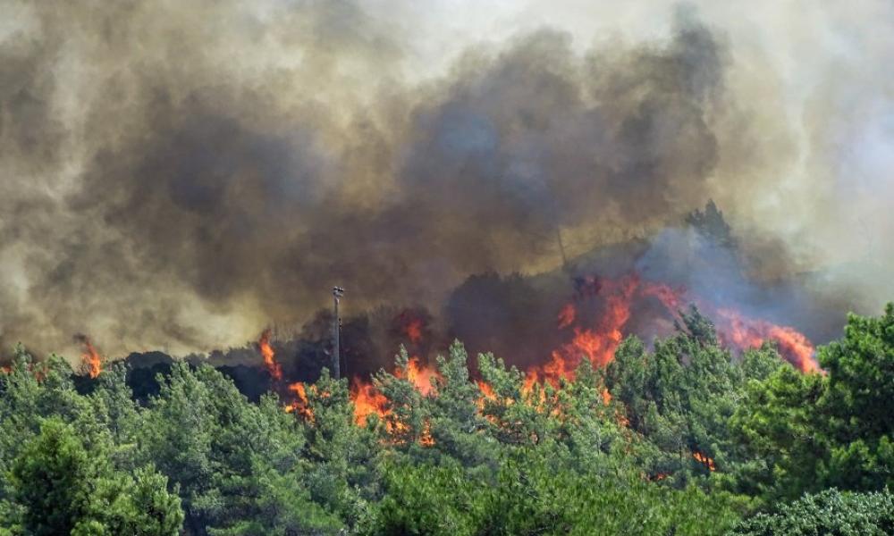 Συναγερμός στην Πυροσβεστική για δασική πυρκαγιά στην Φθιώτιδα