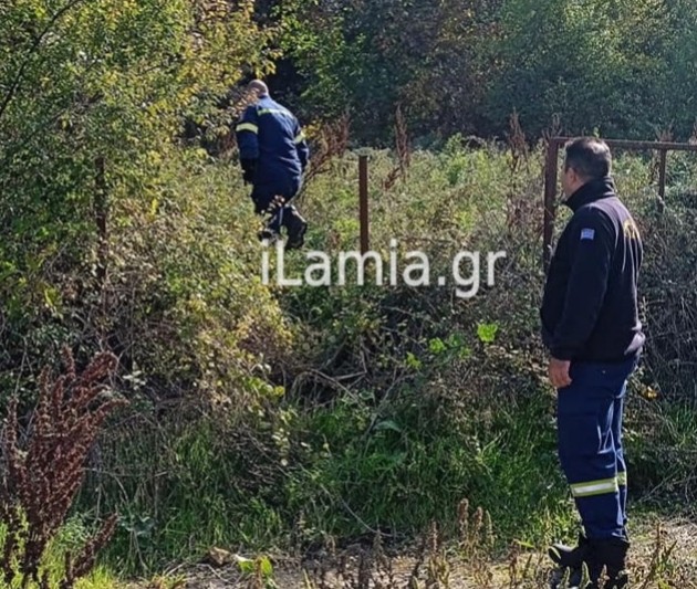 Δομοκός: Πέταξαν οχτώ κουτάβια σε δύσβατο σημείο - Επιχείρηση της Πυροσβεστικής για τη διάσωσή τους