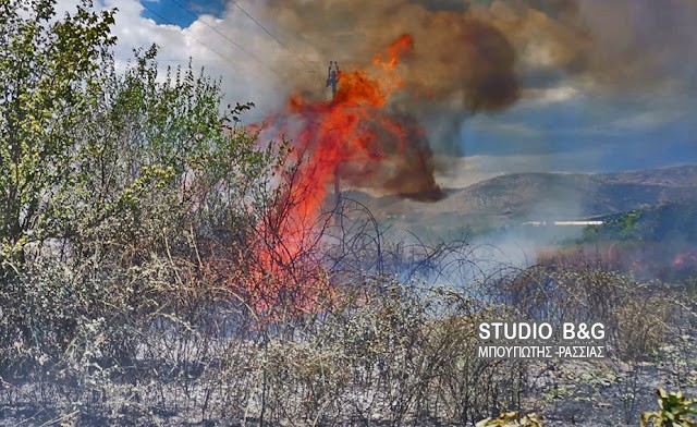 Πυρκαγιά στην περιοχή της Κόστας στην Ερμιονίδα Αργολίδας