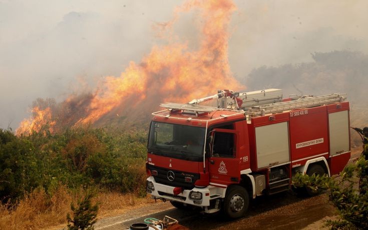 Πυρκαγιά σε εξέλιξη σε χορτολιβαδική έκταση στην Καστοριά