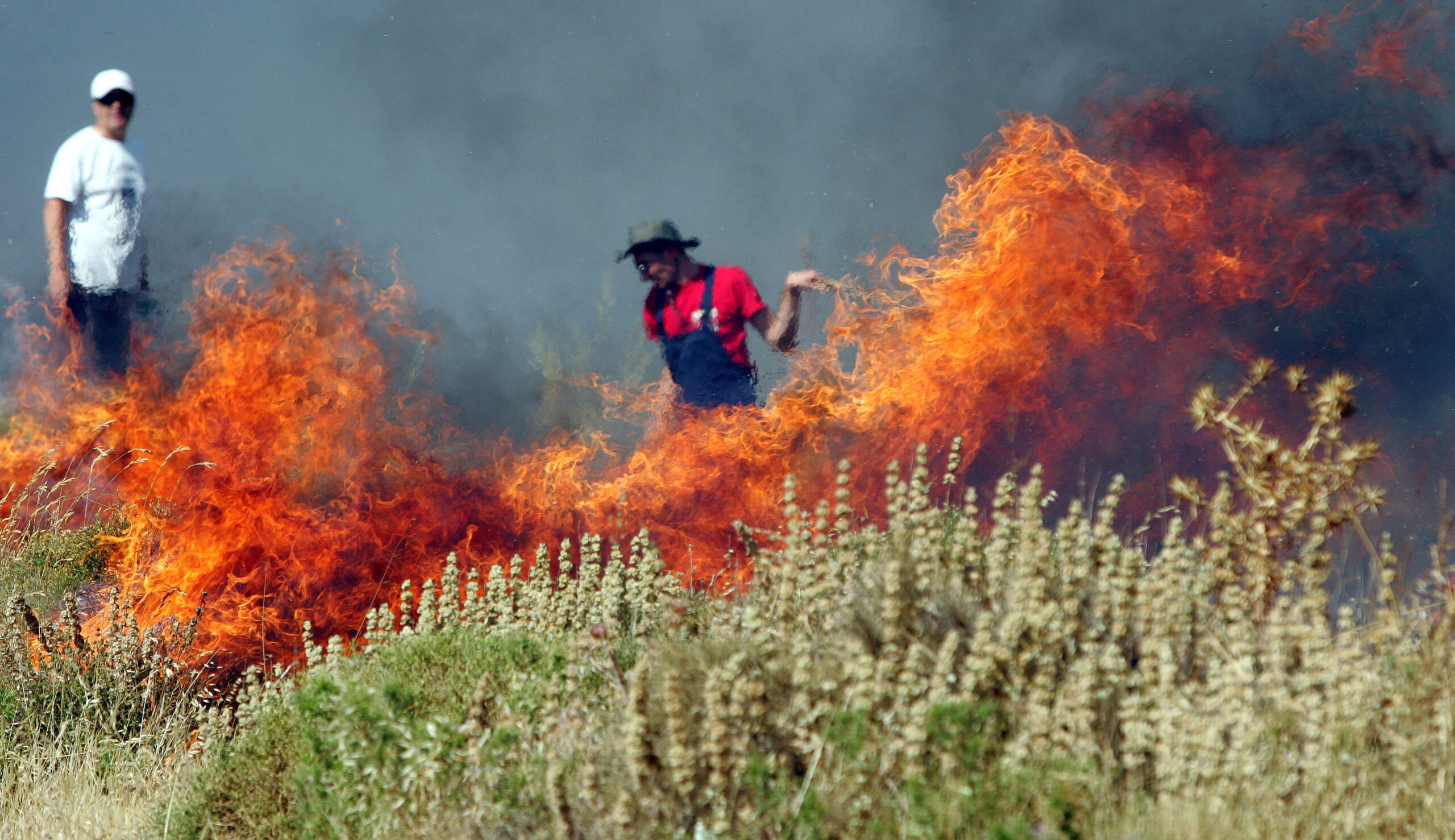 Κρήτη-Πυρκαγιά απο ελεγχόμενη καύση που ξεφυγε σε χορτολιβαδική έκταση