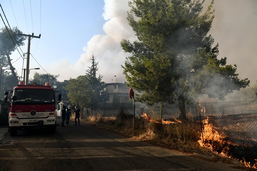 Πυροσβεστική: 34 δασικές πυρκαγιές το τελευταίο 24ωρο