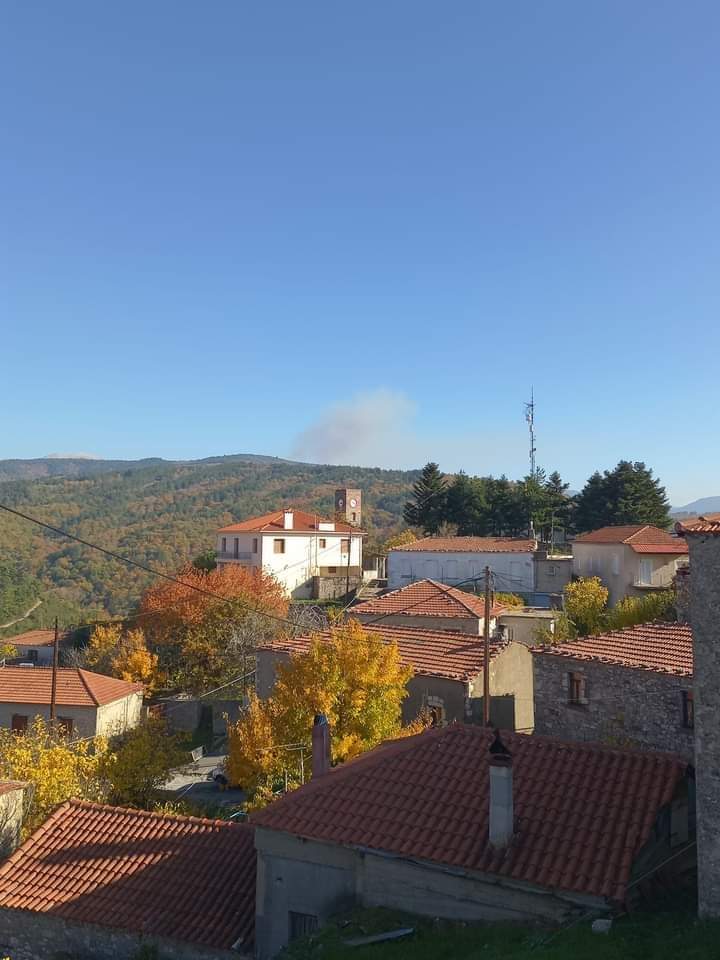 Δασική πυρκαγιά σε εξέλιξη στην Σπάρτη