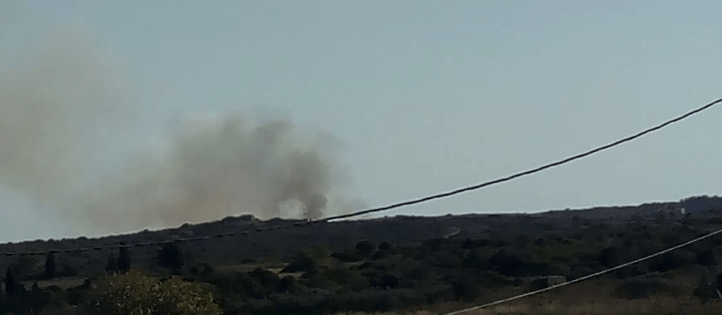 Πυρκαγιά σε δασική έκταση στην περιοχή Αμμούτσες στα Κύθηρα (Φωτό)