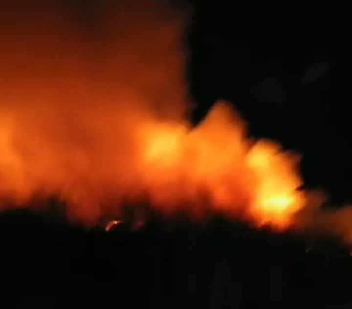 Πυρκαγιά ΤΩΡΑ σε καλάμια στην περιοχή Καβούρι στην Ηλεία (Φωτό)