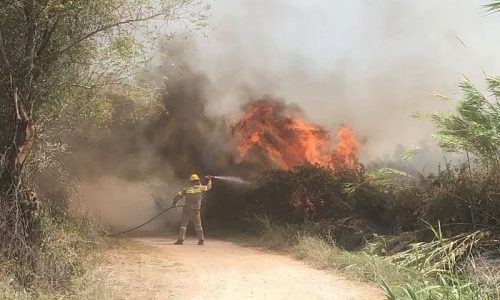 217 πυρκαγιές εκδηλώθηκαν το καλοκαίρι στην Ήπειρο