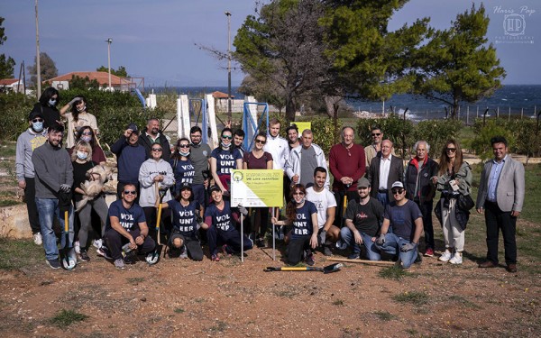 Μάτι - Κάτοικοι δεντροφυτεύουν την Αμπελούπολη