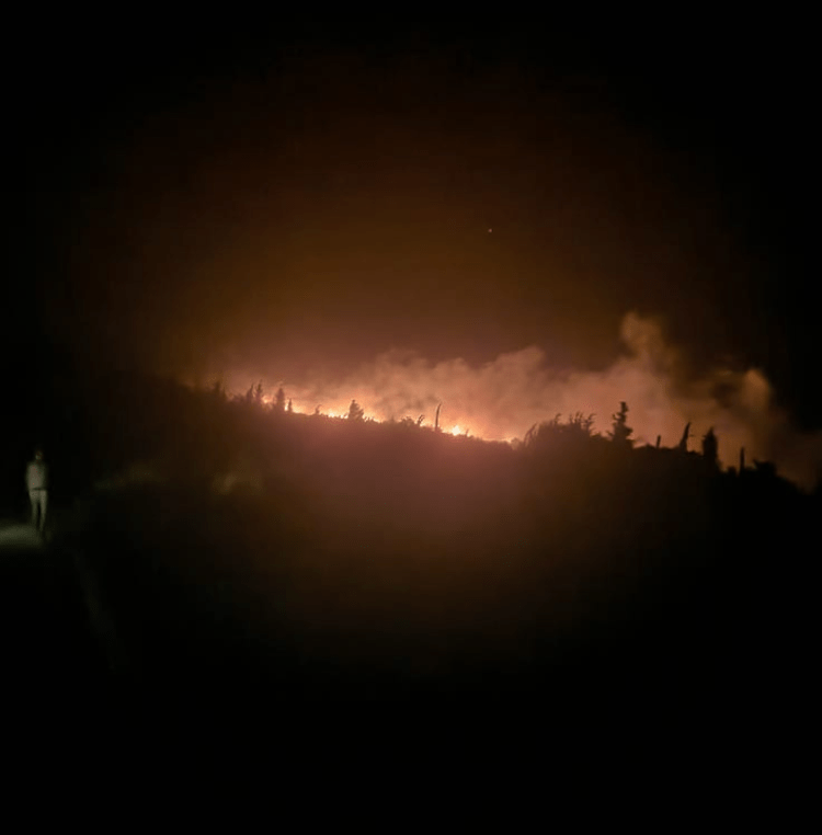 Ηλεία- Πυρκαγιά σε εξέλιξη σε δασική έκταση στην Αμαλιάδα