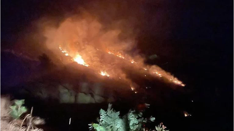 Συναγερμός στην Πυροσβεστική για δασική πυρκαγιά στην Κρήτη