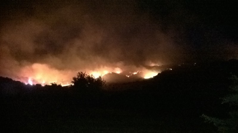 Πυρκαγιά ΤΩΡΑ σε χορτολιβαδική έκταση στην Άνδρο