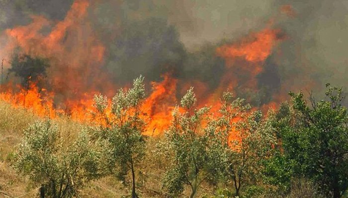 Πυρκαγιά σε εξέλιξη σε γεωργική έκταση στην Κέρκυρα