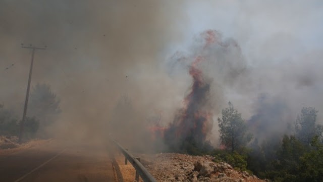 Πυροσβεστική: 34 δασικές πυρκαγιές το τελευταίο 24ωρο